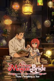 The Ancient Magus’ Bride: Those Awaiting a Star